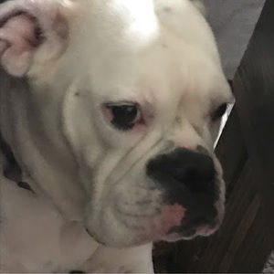 Meet your Posher, Trisha